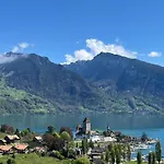 Pfrundmatte Mit Panoramablick