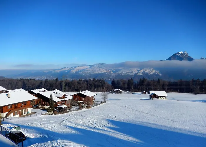 Pfrundmatte Mit Panoramablick Aeschi Bei Spiez